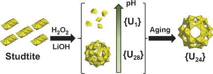 The Key Role of U28 in the Aqueous Self‐Assembly of Uranyl Peroxide ...