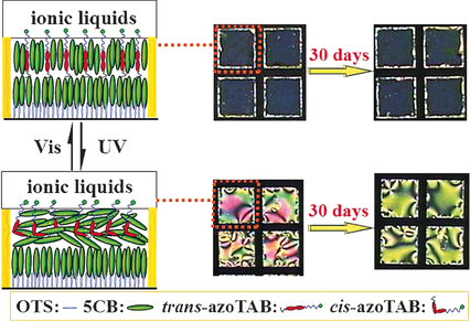 Reversible Photoresponsive Molecular Alignment Of Liquid Crystals At ...