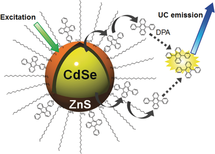 使用核-壳量子点作为光子上转换的三重态敏化剂,Chemistry - A European Journal - X-MOL