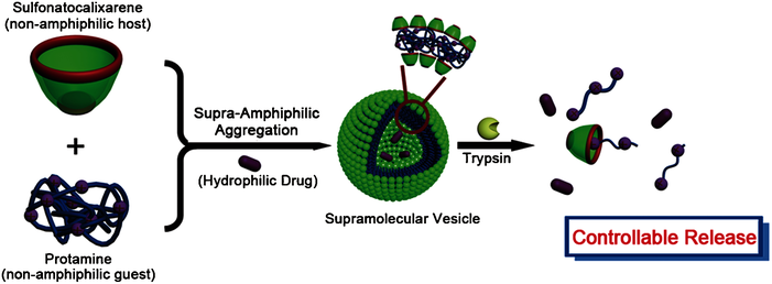A Supramolecular Vesicle Based on the Complexation of p ...