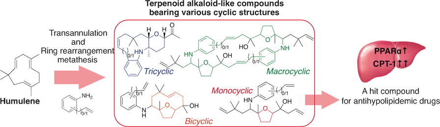 基于腐殖质骨架的类萜生物碱类化合物库的开发,Chemistry - A European Journal - X-MOL