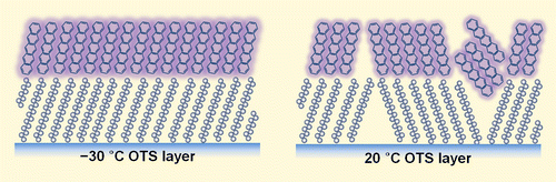 Surface-Order Mediated Assembly of π-Conjugated Molecules on Self ...
