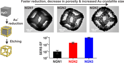 Nanoporous Gold Nanoframes with Minimalistic Architectures: Lower ...