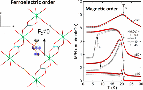 Phase Transitions and Coexistence of Magnetic and Electric Orders in ...
