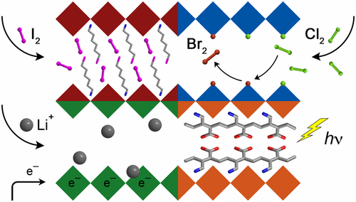 Between the Sheets: Postsynthetic Transformations in Hybrid Perovskites ...