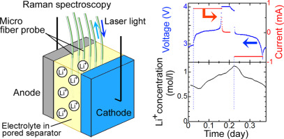 In situ Raman spectroscopic studies on concentration change of ions in ...