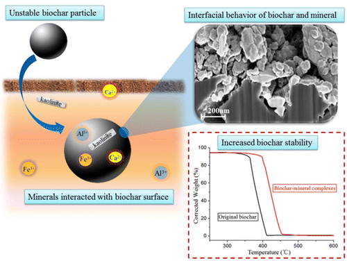 The Interfacial Behavior between Biochar and Soil Minerals and Its ...