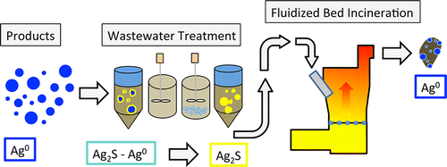 Transformation Of Silver Nanoparticles In Sewage Sludge During ...