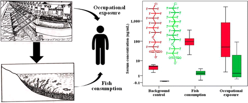 Human Exposure and Elimination Kinetics of Chlorinated Polyfluoroalkyl ...