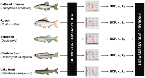 Fish Method Cross Profuct Cross-Species Extrapolation of Uptake and Disposition of Neutral ...