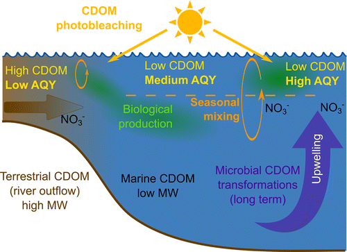 海洋DMS光解的CDOM源和光漂白控制量子产率,Environmental Science & Technology - X-MOL