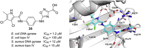 Discovery of substituted oxadiazoles as a novel scaffold for DNA gyrase ...