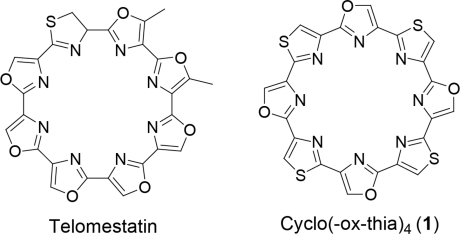 Molecular Design and Synthesis of a Planar Telomestatin Analogue ...