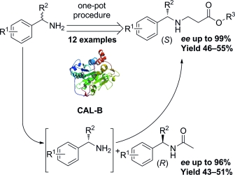 A Single Lipase-Catalysed One-Pot Protocol Combining Aminolysis ...