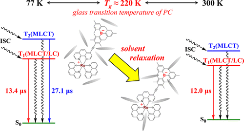 Dual Emissions from Ruthenium(II) Complexes Having 4-Arylethynyl-1,10 ...