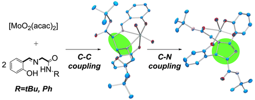 Templated C–C and C–N Bond Formation Facilitated by a Molybdenum(VI ...