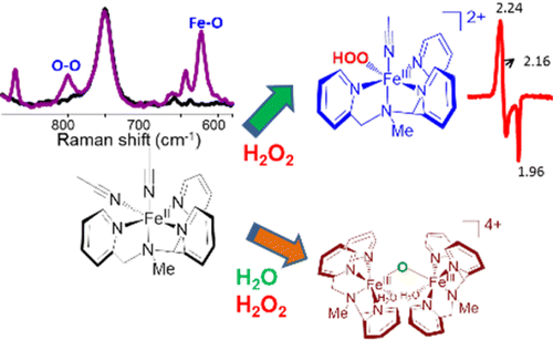 Conflicting Role of Water in the Activation of H2O2 and the Formation ...