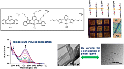 三齿 N- 给体配体的铑(I)配合物及其超分子组装研究,Inorganic Chemistry - X-MOL
