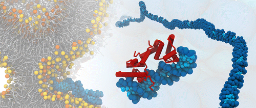 Martini Coarse-Grained Force Field: Extension To DNA,Journal Of ...