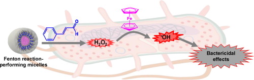 Polymeric micellar nanoplatforms for Fenton reaction as a new class of ...