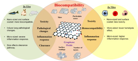 Assessing biocompatibility of graphene oxide-based nanocarriers: A review