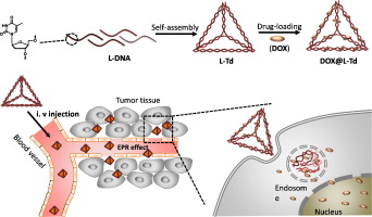 Self-assembled Mirror DNA Nanostructures For Tumor-specific Delivery Of ...