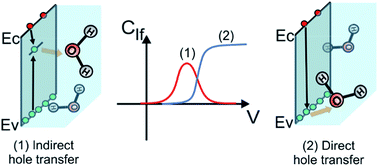 Charge transfer processes at the semiconductor/electrolyte interface ...