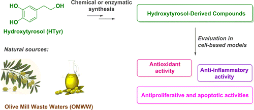 HydroxytyrosolDerived Compounds A Basis for the Creation of New