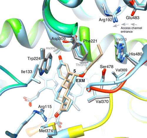 Recent Progress in the Discovery of Next Generation Inhibitors of