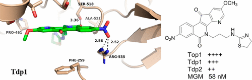 Td2 Injection Synthesis and Biological Evaluation of the First Triple Inhibitors of ...