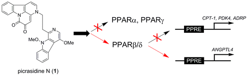 Picrasidine N是亚型选择性PPARβ/δ激动剂,Journal of Natural Products - X-MOL