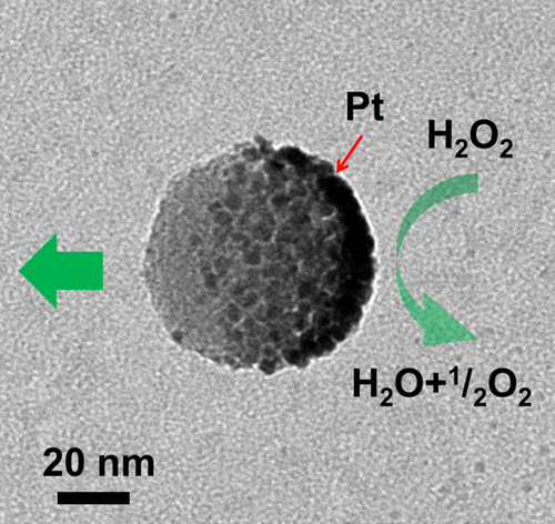 catalytic-mesoporous-janus-nanomotors-for-active-cargo-delivery-journal