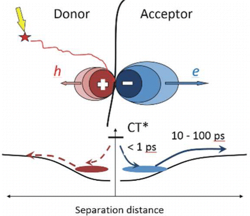 Dissociation Of Charge Transfer States And Carrier Separation In Bilayer Organic Solar Cells A