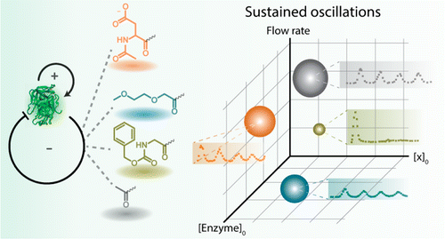 Influence of Molecular Structure on the Properties of Out-of ...