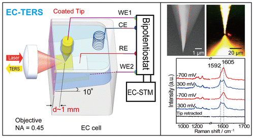 Electrochemical Tip-Enhanced Raman Spectroscopy,Journal of the American ...