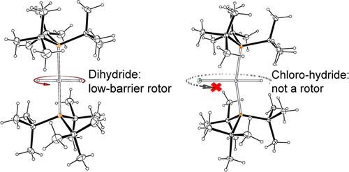 A Molecular Rotor Possessing an H–M–H “Spoke” on a P–M–P “Axle”: A ...