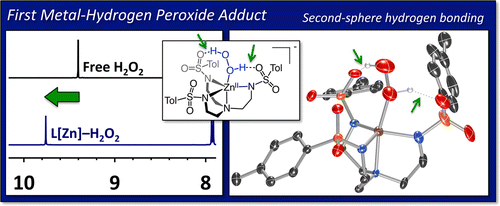Hydrogen Peroxide Complex of Zinc,Journal of the American Chemical ...