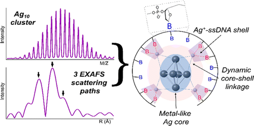 封装 DNA 宿主内分离、部分氧化且紧凑的 Ag10 簇,Journal of the American Chemical Society ...
