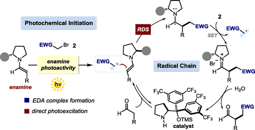 烯胺光化学活性驱动的醛立体选择性α-烷基化机理,Journal of the American Chemical Society - X-MOL