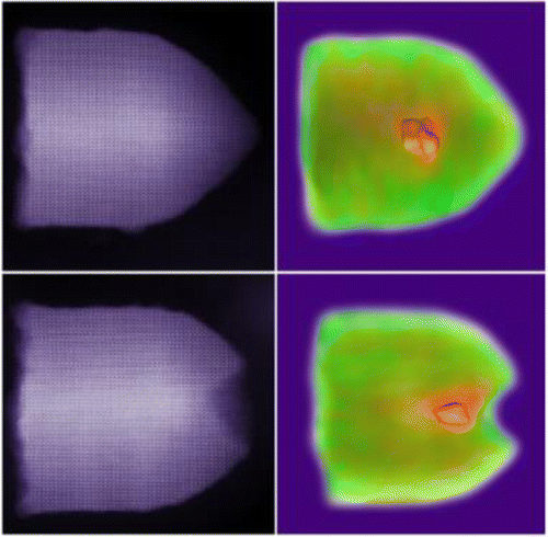 Atomic Structure Of Wurtzite CdSe Core CdS Giant Shell Nanobullets