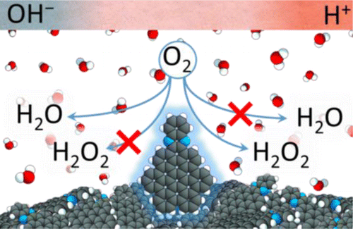 A Model For The PH-Dependent Selectivity Of The Oxygen Reduction ...