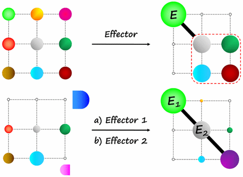 Higher Order Constitutional Dynamic Networks: [2×3] and [3×3] Networks ...