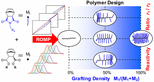 Control Of Grafting Density And Distribution In Graft Polymers By ...