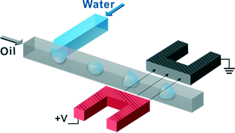 AC electric field induced droplet deformation in a microfluidic T ...