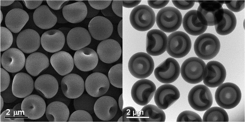 One-Step Synthesis of Hollow Dimpled Polystyrene Microparticles by ...