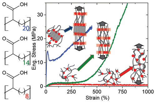 Hierarchical Acrylic Acid Aggregate Morphologies Produce Strain ...