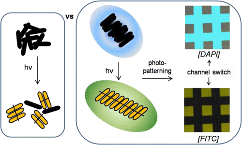 High Emisive Things. Examples Unimolecular Photopolymerization of High-Emissive Materials on ...