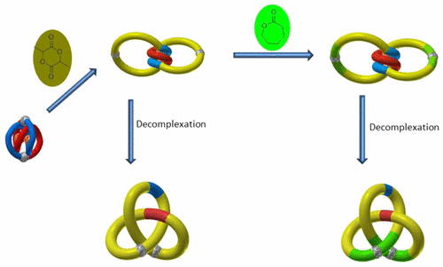 通过扩环策略合成三叶结的嵌段共聚物,Macromolecules - X-MOL