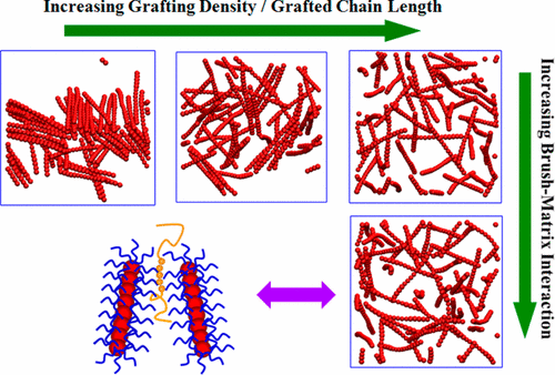 Insight into the Dispersion Mechanism of Polymer-Grafted Nanorods in ...