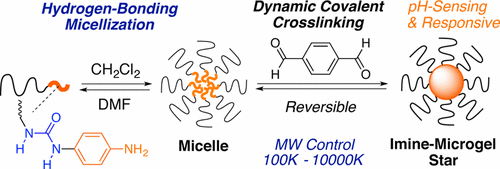 Dynamic Reversible Polymers Precision Synthesis of Imine-Functionalized Reversible Microgel Star ...